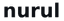 Nurul Logo